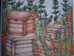 whatsapp bild 2025-10-07 um 18.08.58_42b1b315